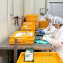 순천시푸드뱅크 이미지