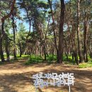 월매리(경북대부속학술림) | 포항 기계 서숲 맨발로 둘레길