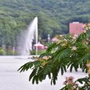 날개달린옷 이미지