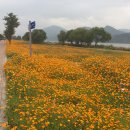 고대1117 이미지