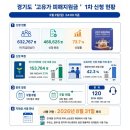 6625 일간경기