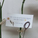 소행복 | 수원 상견례 선물 소행복 르프리다플라워 추천 내돈내산 후기