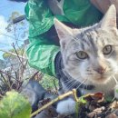 세빈농장 | [호주 워홀 일기] 농장 말고 봉사 25일-28일차와 세컨 따는 3가지 방법