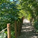 무룡고개 1쉼터 이미지