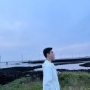 세븐스타 코인노래연습장 제주서귀포점 | [차량승선/퀸제누비아호] 멀미 없이 배타고 제주 가기🚢⚓ (목포➡제주)