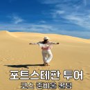 호주 시드니 여행 코스 포트스테판 투어 사막 동물원 돌고래 와이너리