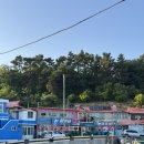 당머리첫집 | 여수현지인이 추천한 당머리하모거리 황가네하모(전현무계획)