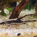 로얄수족관 이미지