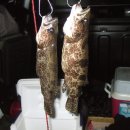 여울당구장 이미지