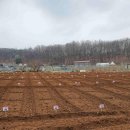 일대농장(1) 이미지