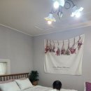 유수암레몬하우스 네이버블로그