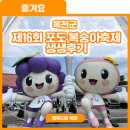 쌍옥천 | 탱글탱글 포도와 달디달고 달디단 복숭아가 모인[ 제16회 포도,복숭아 축제] 생생 후기