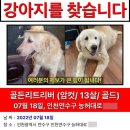 양심건강원