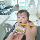 (주)산양미트 | 11개월아기 후기이유식 파스퇴르 아이생각 이유식 선택식단 후기