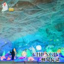 로얄수족관(이마트충주점) | 충주 활옥동굴 가격 할인 카약 소요시간까지! 비오는날 여행지 완전 정복