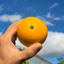 만금농장 이미지