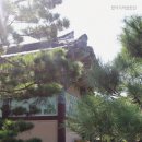 담담각