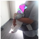 봄빛도우미 이미지
