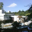 사랑반점 이미지