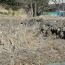 유포석보 이미지