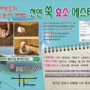 대일할인마트 이미지