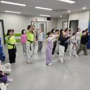 태비바른아이태권도장 이미지