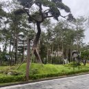 회원동114 | 4개월 아기랑 호캉스,파라스파라 서울 팀버 주니어 룸 후기