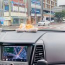 쌍용자동차서귀포서비스프라자 이미지