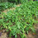 장수촌경로당 이미지