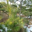 정호농장 이미지