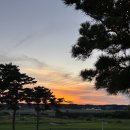 타온플레이 | 근교 호캉스 추천 | 인천 파라다이스시티 호텔 후기 꿀팁 (수영장 부대시설 온더플레이트 조식 플레이랩)