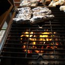 포레스트휴 이미지