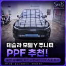 디와이정밀 | 테슬라 모델Y 주니퍼 PPF 후기｜스톤칩 때문에 추가 시공한 이유 (울산 디와이모터스)