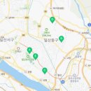 왈왈이애견카페웨스턴돔점 이미지