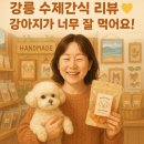 무지개간식 | 강릉강아지수제간식 찾는다면 여기! 서부시장에 숨은 ‘진짜 수제간식’ 무지개간식 매장 후기
