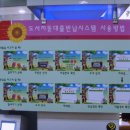 분당도서관 이미지