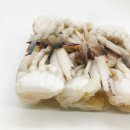 에이치제이상사 이미지