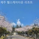 제주 서귀포 리조트 제주 헬스케어타운 리조트 체험후기추천리스트