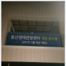 대숲여행 Daum카페