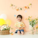 옵튼스튜디오 이미지