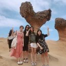 신남3공원 | 대만 타이베이 여행 : 예스지 투어 '예류 지질공원'