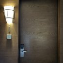 남대문자원 | 코트야드 메리어트 서울 남대문 호캉스 후기(feat. 메리어트 본보이 포인트 숙박)