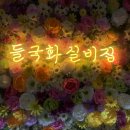 충남실비집