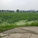 관곡지약국 이미지