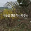 돌산 진모축구장 이미지