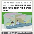 송기농로 이미지