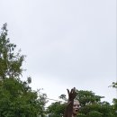 윤희순 동상 이미지