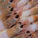 경성닭발 이미지