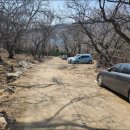 양지꽃식물원 | 북한산 야생화(깽깽이풀, 처녀치마, 숨은벽, 북한산성계곡)