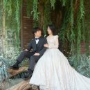 가을스튜디오 웨딩 촬영 후기-버드나무씬